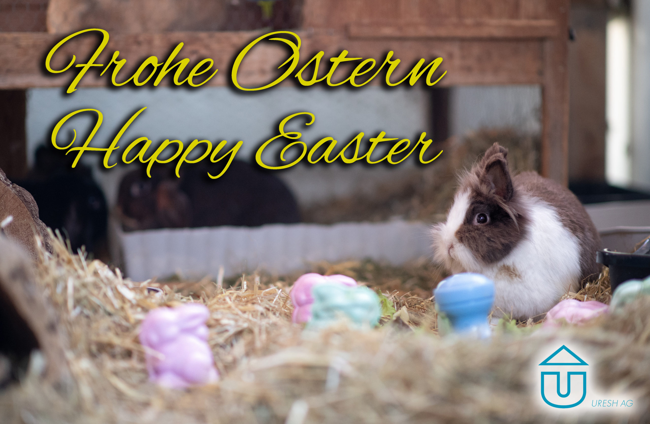Featured image for “Happy Easter”